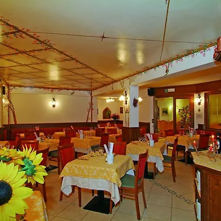 Hotel Erika